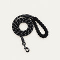 Coiled black rope dog leash with white reflective threads, black padded braided handle loop and dark metal swivel snap hook